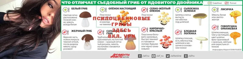 где купить наркоту  Благовещенск  мега онион  Псилоцибиновые грибы мухоморы 